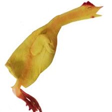 Chicken - Rubber plucked