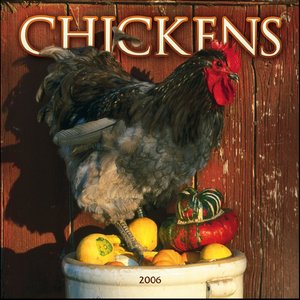 Chickens Calendar