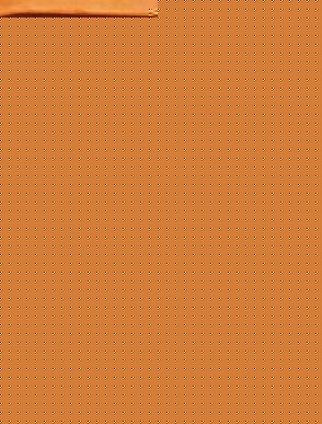 Sensual and sexy.  Our chiffon robe/sleep shirt ca