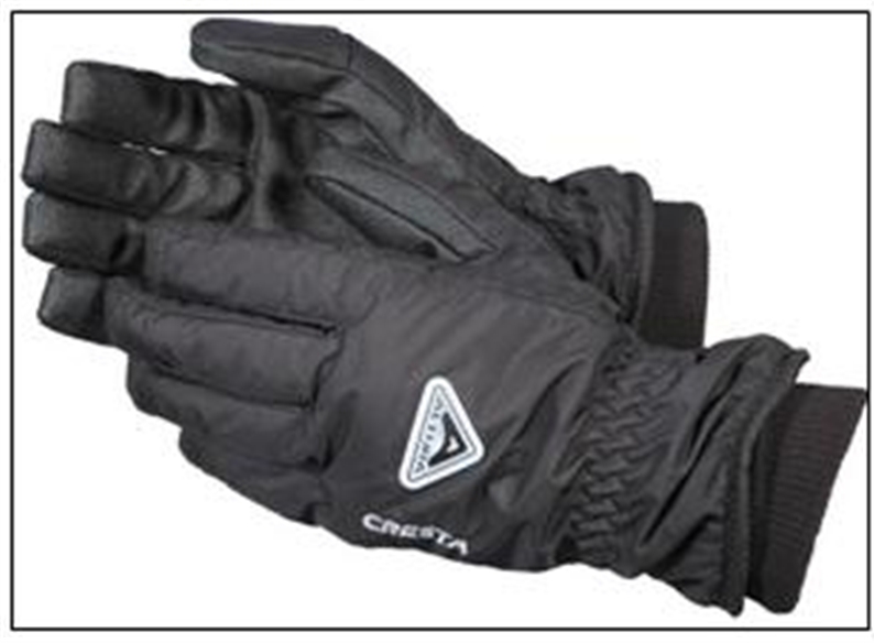 CHILDRENS CRESTA WATERPROOF GLOVE
