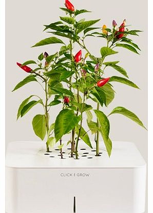 Chilli Growing Kit with Soil Tester Indoor use only. Includes 1 Click and Grow smartpot, 1 Chili Pepper seed plant cartridge, and step-by-step instructions. Requires 4 AA batteries (not included). Batteries will last approximately 8-12 months.This pl