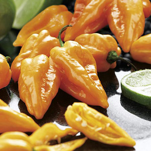 Unbranded Chilli Peach Habanero Seeds