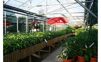 Unbranded Chilli Tour and Tasting for Two