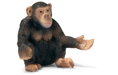 Unbranded Chimpanzee - Female