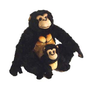Unbranded Chimpanzee and Baby