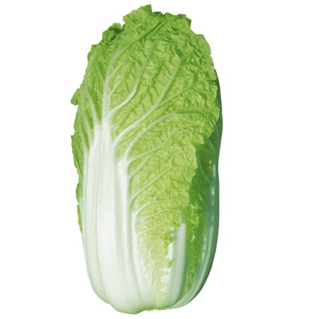 Unbranded Chinese Cabbage One Kilo S.B. F1 Seeds Average