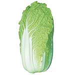 Unbranded Chinese Cabbage One Kilo S.B. F1 Seeds