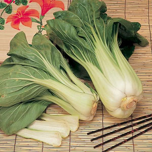 Unbranded Chinese Pak Choi Seeds