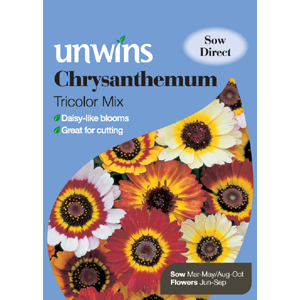 Unbranded Chrysanthemum Tricolour Mix Seeds