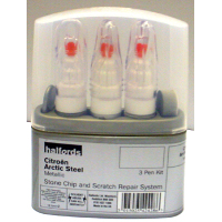 Citroen Arctic Steel