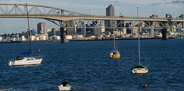 Unbranded City   Sails incl. Lunch Cruise