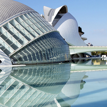 Unbranded City of Arts and Sciences Bike Tour - Adult