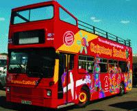 Unbranded City Sightseeing Copenhagen Mermaid Tour Child