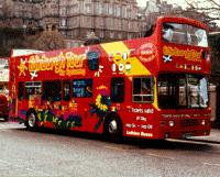 City Sightseeing Edinburgh Tour Senior Ticket