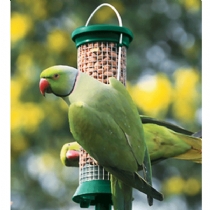 Unbranded Cj Wildlife Challenger Feeder Peanut 35 cm