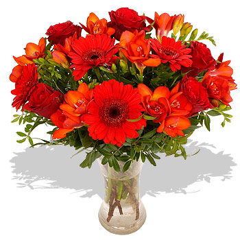 Unbranded Claret - flowers