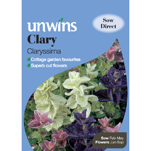 Unbranded Clary Claryssima Seeds
