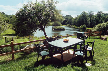 Unbranded Clearbrook Cottage