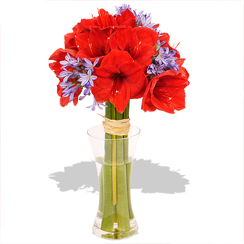 Unbranded Cleopatra - flowers