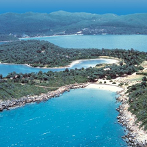 Unbranded Cleopatra Island - Adult