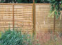 Clifton Fence Panel