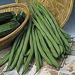 Unbranded Climbing French Bean Blue Lake Seeds 431144.htm