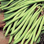 Unbranded Climbing French Bean Cobra Seeds