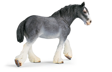 Unbranded Clydesdale Mare