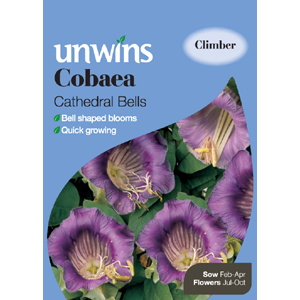 Unbranded Cobaea Cathedral Bells Seeds