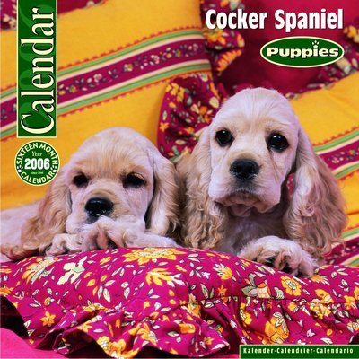 Cocker Spaniel - Puppies Calendar