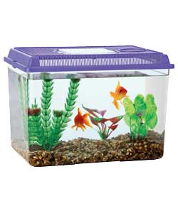 Strong crystal styrene tank and lid with door. Includes gravel and plastic plant. Suitable for 1 or 
