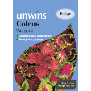 Unbranded Coleus Warpaint Seeds