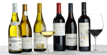 Unbranded Collectors Choice