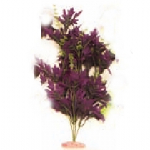 Unbranded Colourburst Amazon Butterfly Leaf 23-25.5cm