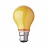 Coloured Bulb Orange 40 Watt BC