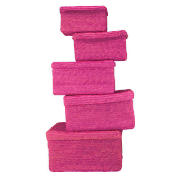 Unbranded Coloured lidded baskets pink set of 5