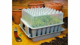 Unbranded Compact Pop-up Plant Propagator