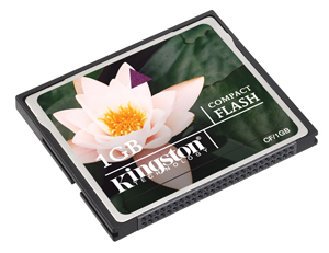 Unbranded CompactFlash (CF) Memory Card - 1GB - Kingston