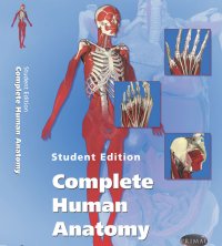 The complete human anatomy now available, in 3D with Primal