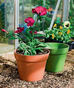 Unbranded Compostable Flower Pots