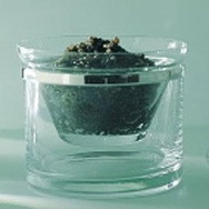 Unbranded Contemporary caviar serving glass