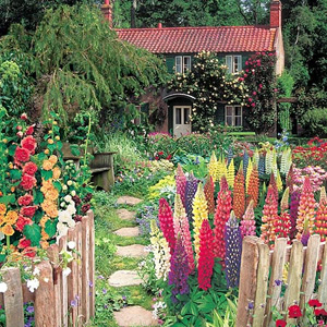 Unbranded Cottage Garden Collection Seeds