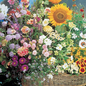 Unbranded Cottage Garden Mixture Seeds
