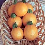 Unbranded Courgette One Ball F1 Seeds 439725.htm
