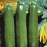 Unbranded Courgette Partenon F1 Seeds