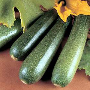 Unbranded Courgette Parthenon F1 Hybrid Seeds