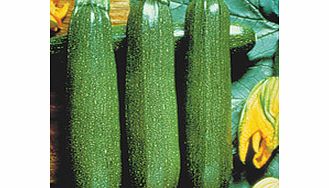 Unbranded Courgette Parthenon F1 Seeds