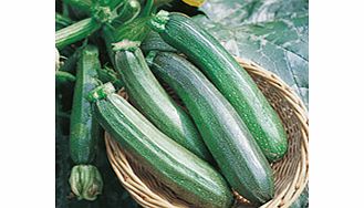 Unbranded Courgette Seeds - Zucchini F1