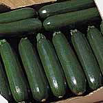 Unbranded Courgette Tosca F1 Seeds 439644.htm