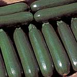 Unbranded Courgette Tosca F1 Seeds